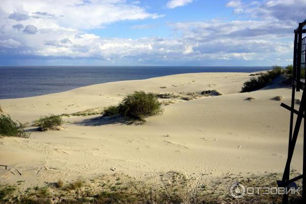 Отдых на Куршской косе (Россия, Калининградская область) фото