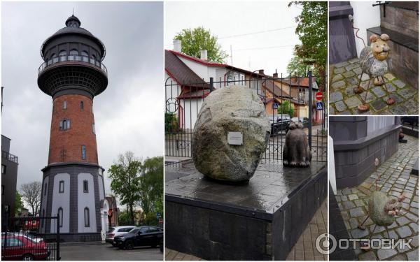 Зеленоградск музей кошек фото Отзыв о Музей кошек "Мурариум" (Россия, Зеленоградск) Всем любителям котов и кош