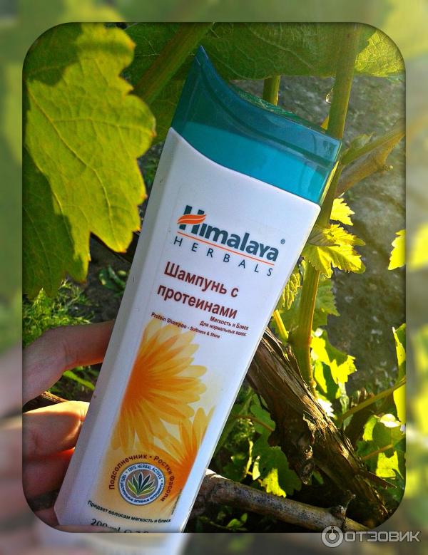 Шампунь Himalaya Herbals