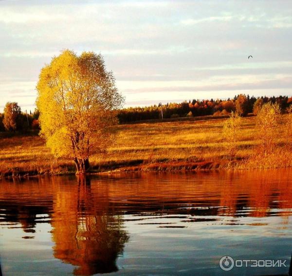 Галерея фотоискусства Серебряный свет. (Россия, Пермь)