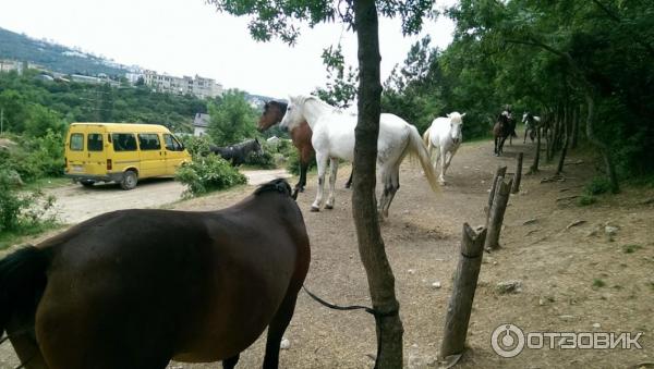 База отдыха Казачий Хуторок Третья Сотня