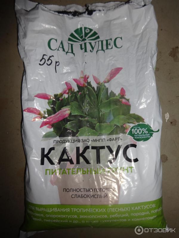 Земля Для Мирта Какую Купить