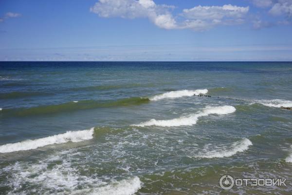 Пиццерия Веранда (Россия, Зеленоградск) фото