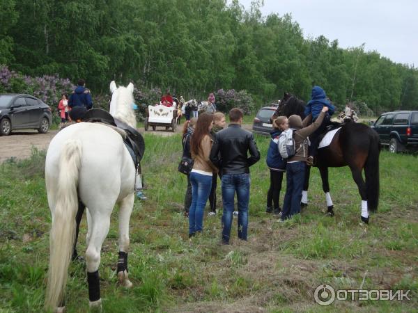 Желающие покататься на коняшках