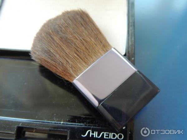 Румяна Shiseido Luminizing Satin Face Color фото