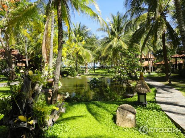 Отель Seahorse Resort 4* (Вьетнам, Фантьет) фото
