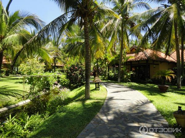 Отель Seahorse Resort 4* (Вьетнам, Фантьет) фото