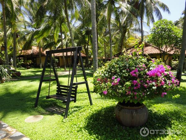 Отель Seahorse Resort 4* (Вьетнам, Фантьет) фото