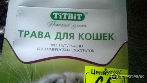 Трава для кошек TITBIT фото