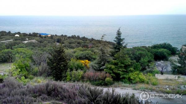 Отдых в Кацивели (Россия, Крым) фото