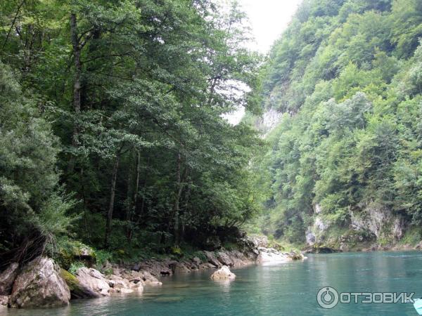 Рафтинг на реке Тара (Черногория) фото