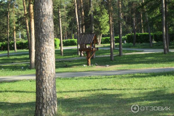 Центральный Парк Культуры и Отдыха им. Ю. Гагарина (Россия, Челябинск) фото