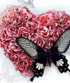 Рappy butterfly