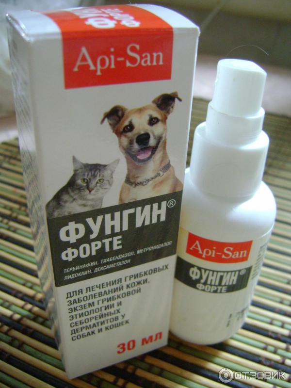 Фунгин форте для кошек