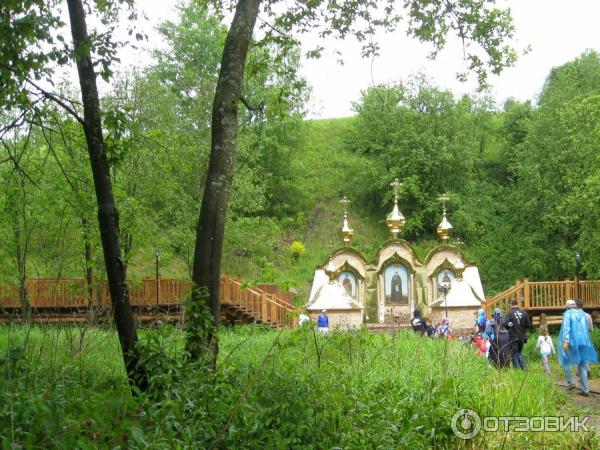 Источник преподобного Сергея Радонежского (Россия, Московская область) фото