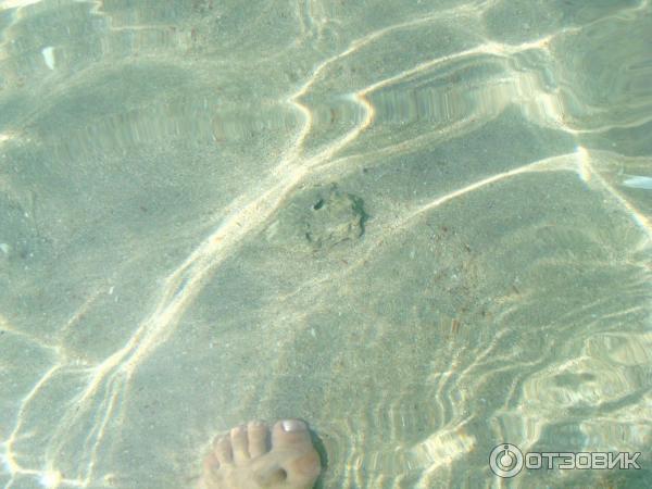 Вода в мирном крым. Пгт мирное вода. Мирнинская вода Крым.