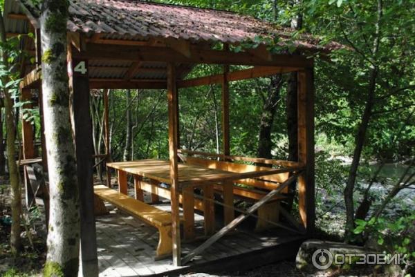 Пикник сочинская ул 14 фото