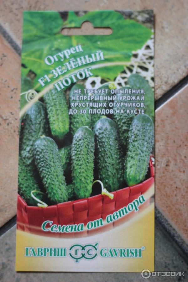 Огурец зеленый спецназ описание сорта фото отзывы