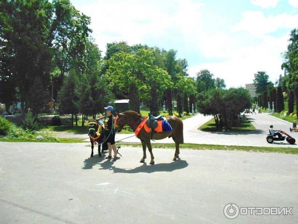 Городской Сад (Россия, Тверь) фото