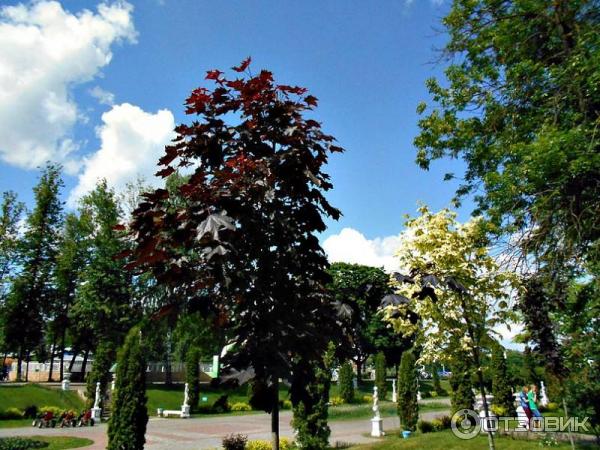 Городской Сад (Россия, Тверь) фото