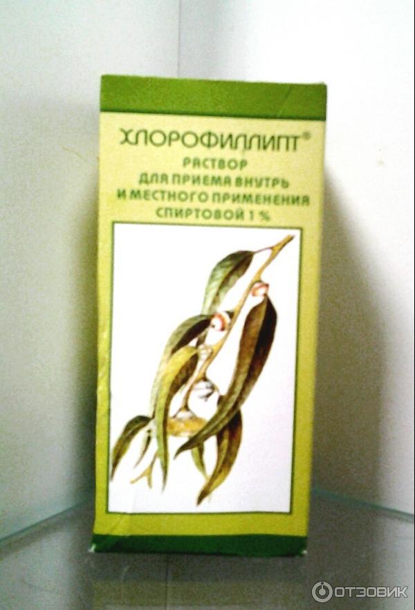 Хлорофиллипт принимать внутрь. Хлорофиллипт раствор спиртовой 1%. Хлорофиллипт масляный раствор инструкция. Хлорофиллипт спиртовой 1%. Хлорофиллипт 1 процентный спиртовой.