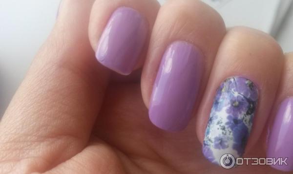 Слайдер-дизайн Crazy Shine Nails mini: Мияги - купить в Казахстане | Profline - nail shop.