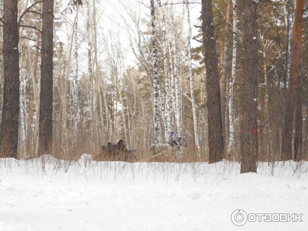 Парк культуры и отдыха Сосновый бор (Россия, Новосибирск) фото