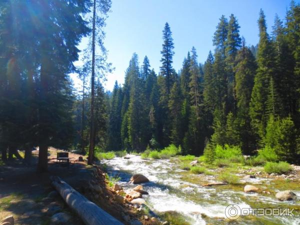 Экскурсия в национальный парк Sequoia (США, Калифорния) фото