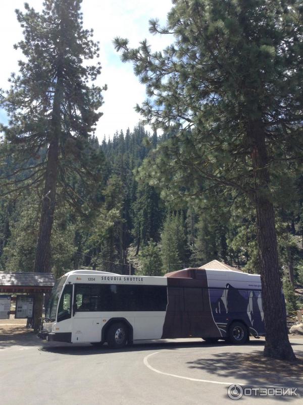 Экскурсия в национальный парк Sequoia (США, Калифорния) фото