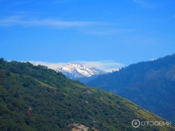 Экскурсия в национальный парк Sequoia (США, Калифорния) фото