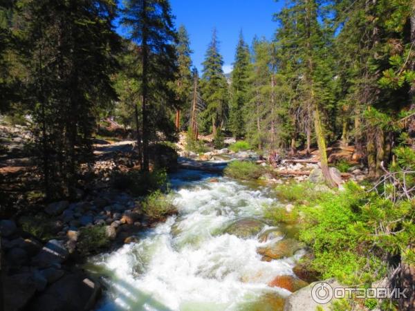 Экскурсия в национальный парк Sequoia (США, Калифорния) фото