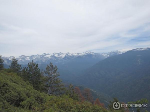 Экскурсия в национальный парк Sequoia (США, Калифорния) фото