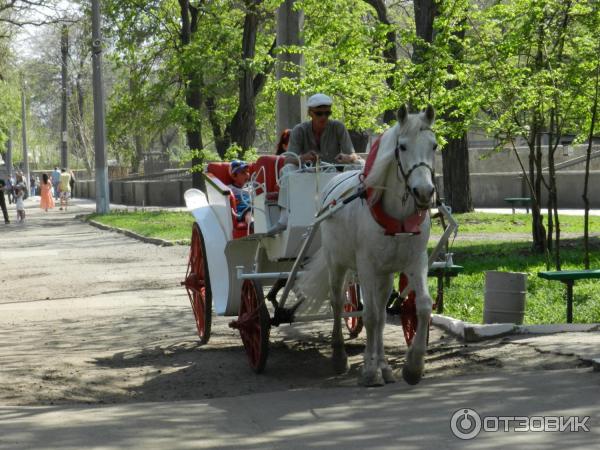 Одесский зоопарк (Украина, Одесса) фото