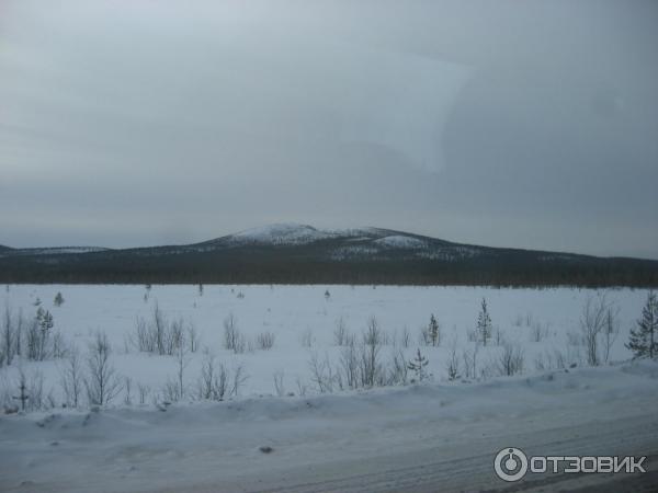 Музей истории, культуры и быта кольских саамов (Россия, Ловозеро) фото