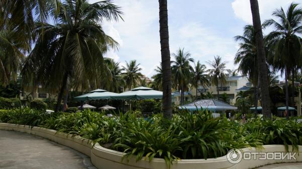 Отель Palm Beach Resort & Spa 5* (Китай, Санья) фото