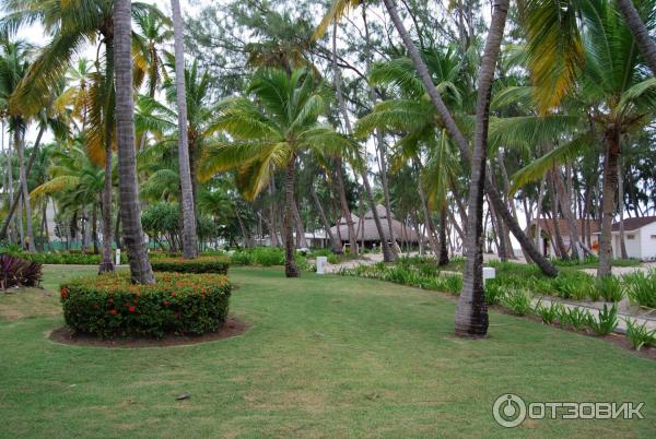 Отель Vista Sol Punta Cana (Доминикана, Пунта Кана) фото