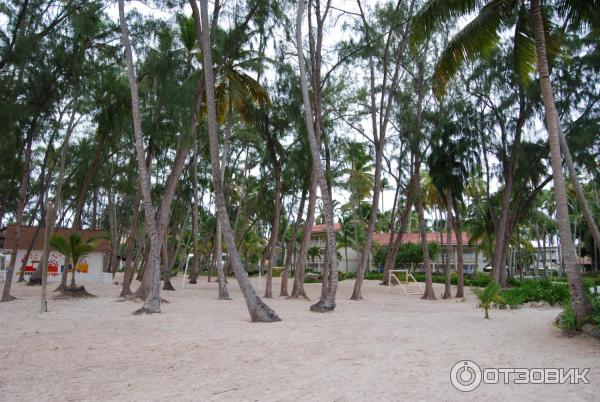 Отель Vista Sol Punta Cana (Доминикана, Пунта Кана) фото