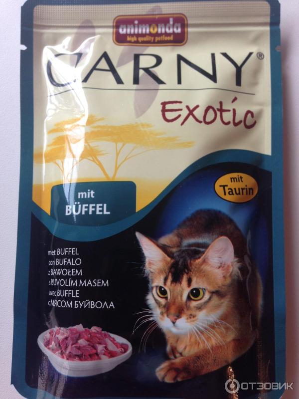 Карни корм для кошек. Carny корм для кошек. карни корм для кошек сухой. carny корм для кошек сухой. корм карни лайф.