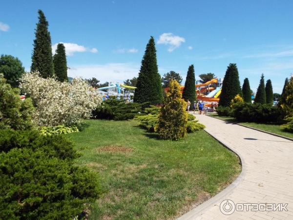 Аквапарк Золотая бухта (Россия, Геленджик) фото