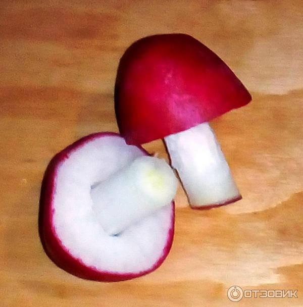 Грибочки из редиски