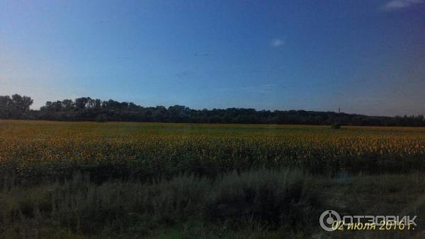 Поезд № 247 Санкт-Петербург—Анапа—Санкт-Петербург фото