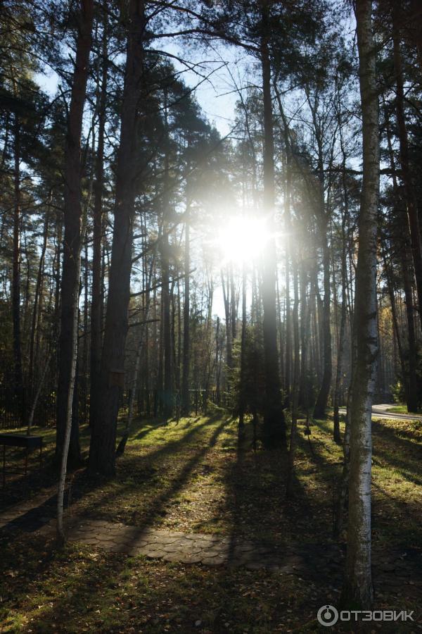 Отель Природный курорт «Яхонты» (Россия, Подмосковье) фото