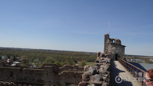 Средневековый замок Везенберг (Эстония, Раквере) фото