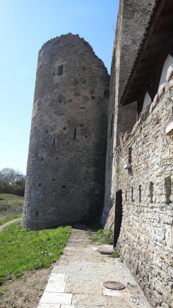 Средневековый замок Везенберг (Эстония, Раквере) фото