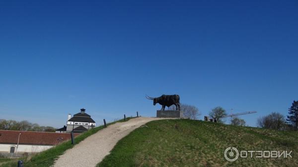 Средневековый замок Везенберг (Эстония, Раквере) фото