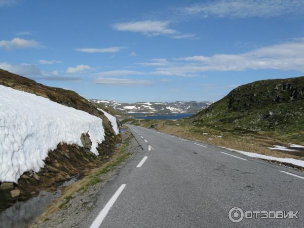 Кемпинг Solvik (Lysefjord, Норвегия) фото