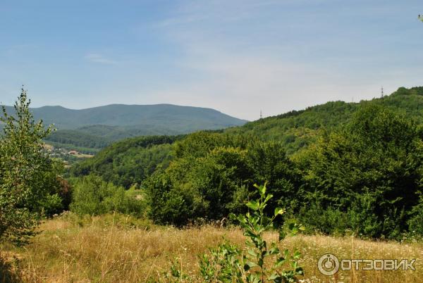 Горнолыжный курорт с. Поляна (Украина, Закарпатская область) фото