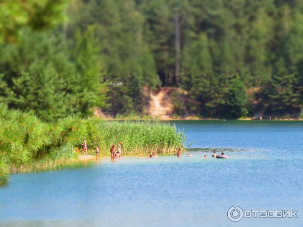 Отдых на Голубых Озерах в пос. Олешня (Украина, Черниговская область) фото