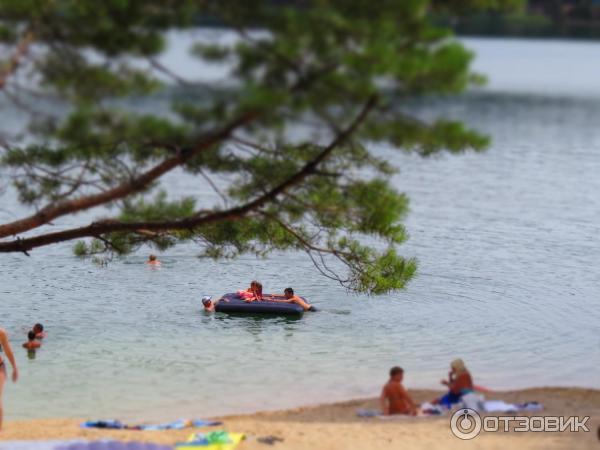 Отдых на Голубых Озерах в пос. Олешня (Украина, Черниговская область) фото