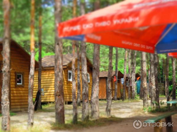 Отдых на Голубых Озерах в пос. Олешня (Украина, Черниговская область) фото